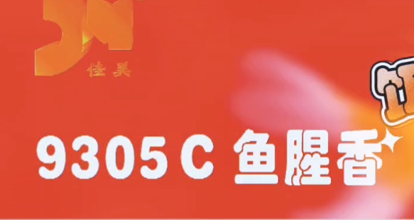 9305C㣨רã